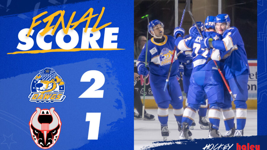 roanoke-rail-yard-dawgs